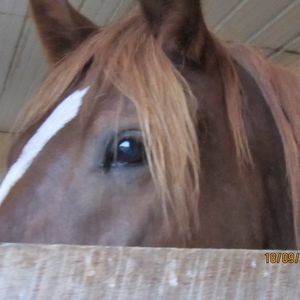 Meet your Posher, Denise